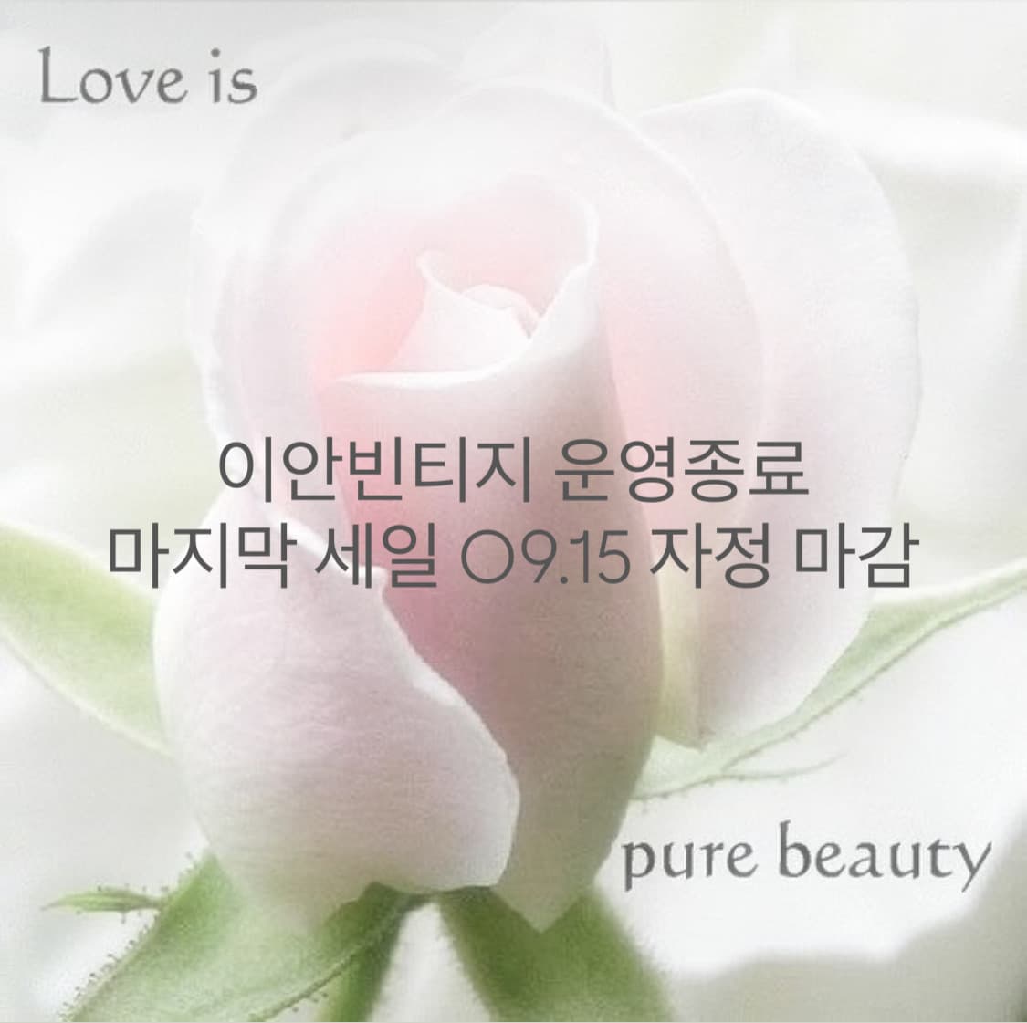 good bye sale ~09.15 운영종료 상품이미지1