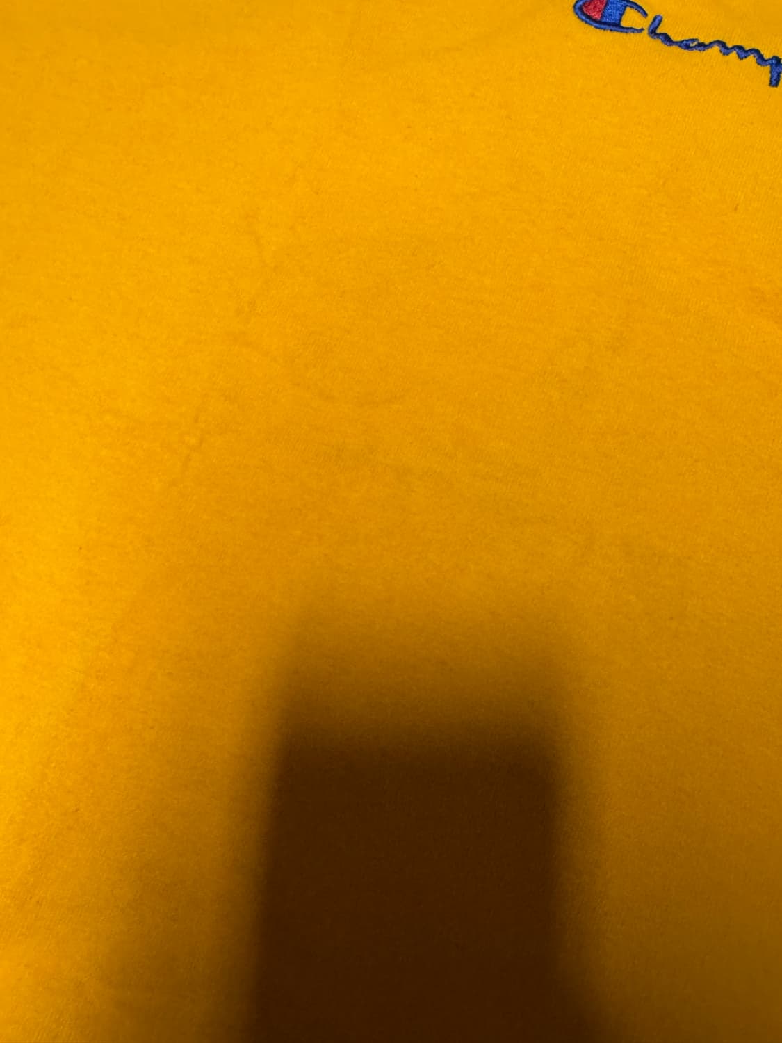 여성 챔피온 스몰 스펠아웃 반팔 티셔츠 S 옐로우 상품이미지5