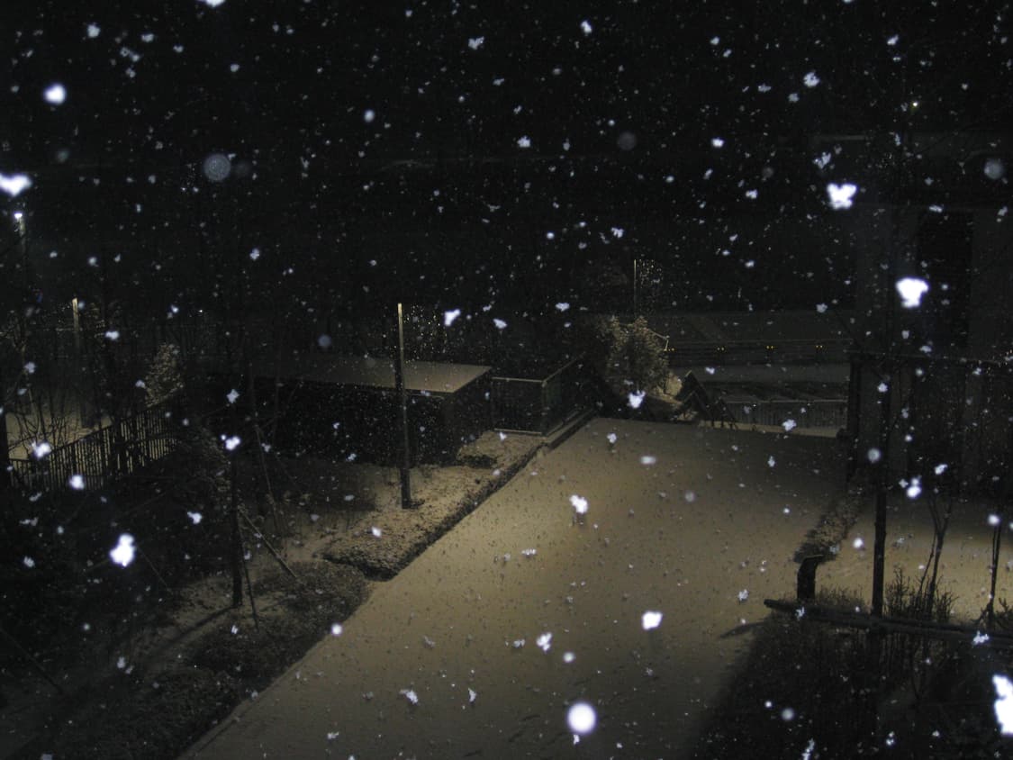 캐논 익시810/익서스 950is 상품이미지6