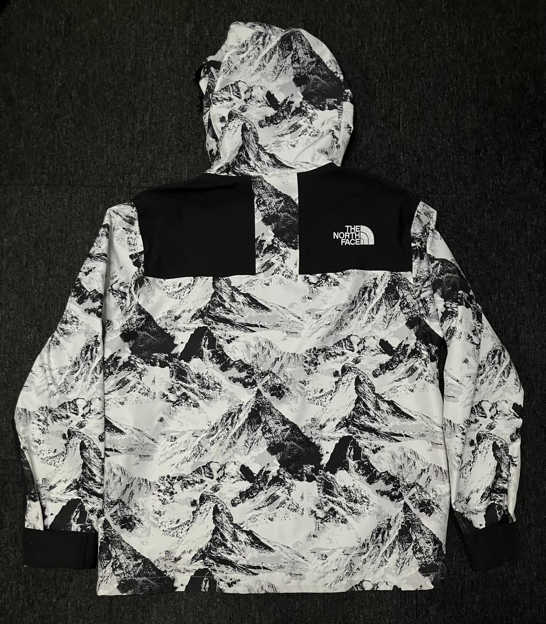 노스페이스 노벨티 에코 고어텍스 마운틴 설산 자켓 상품이미지8