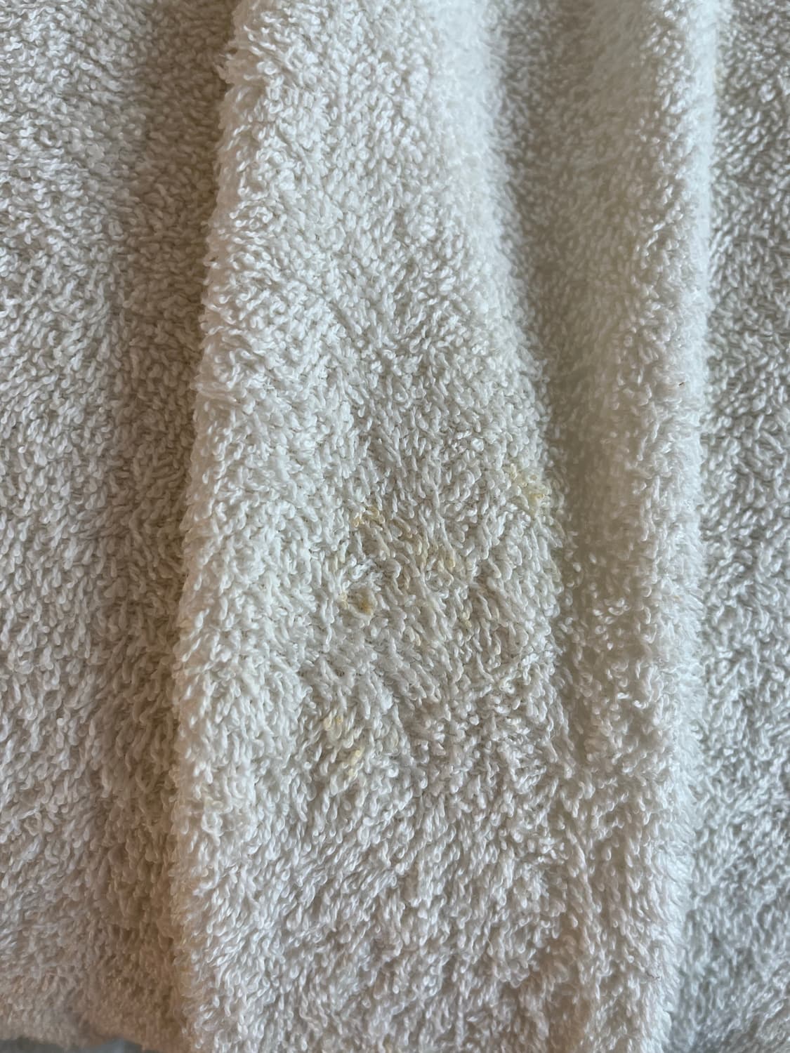 The open product 테리 반팔 상품이미지4