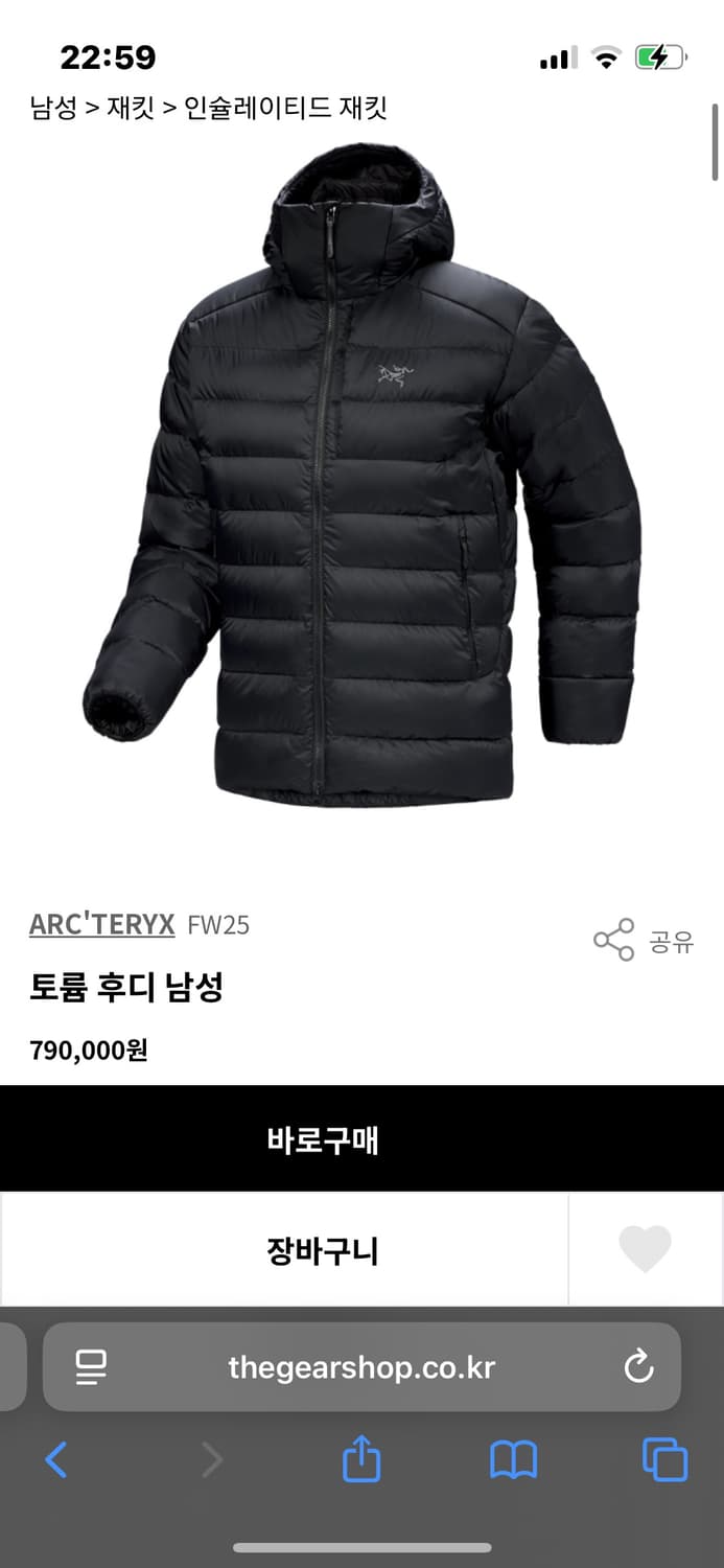 아크테릭스 토륨 2xl 상품이미지1