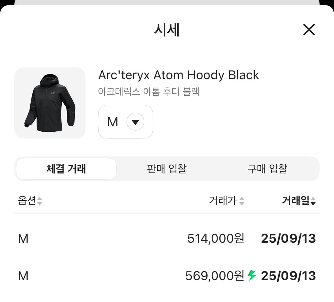 25 ss 아크테릭스 아톰 후디 블랙 미사용 상품이미지2