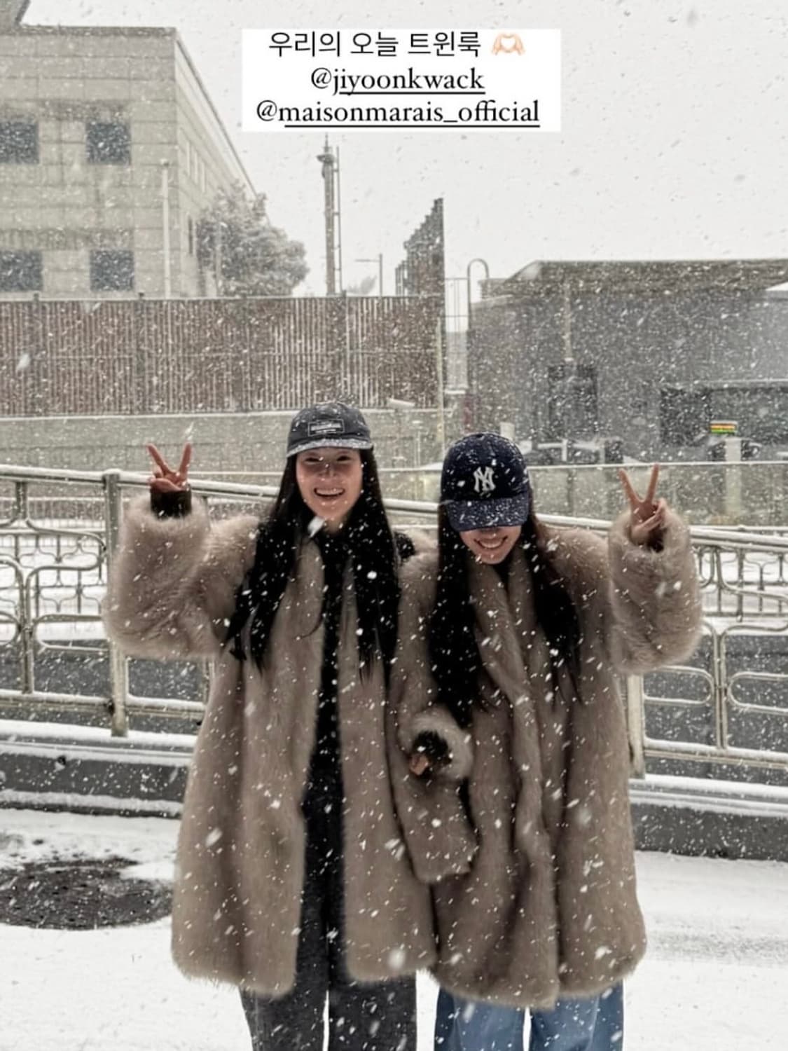 메종마레 글로우 폭스 퍼 코트 라이트 베이지 36 새상품 (품절 사이즈) 상품이미지7