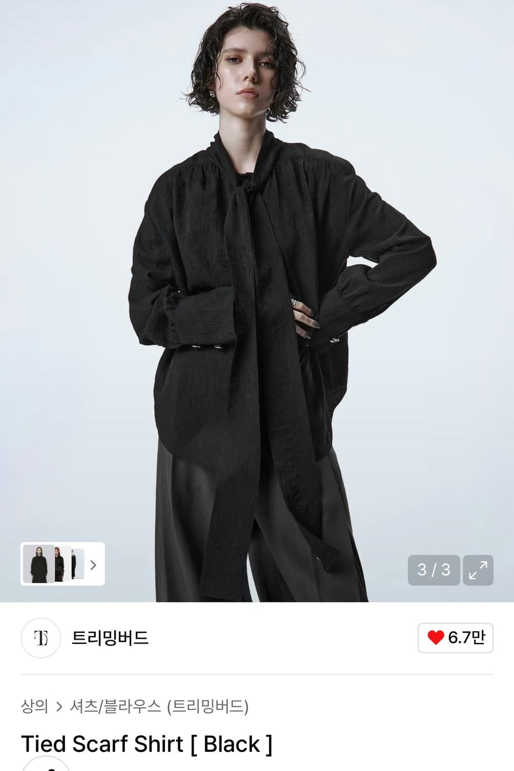 트리밍버드 타이 타이드 스카프 셔츠 블라우스 블랙 1사이즈 상품이미지3