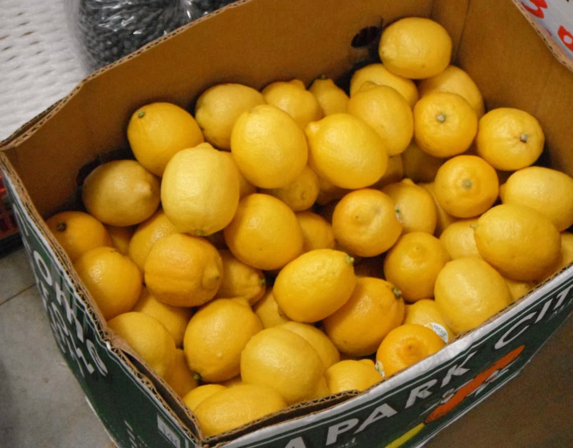 후지필름 파인픽스 Z90 상품이미지10