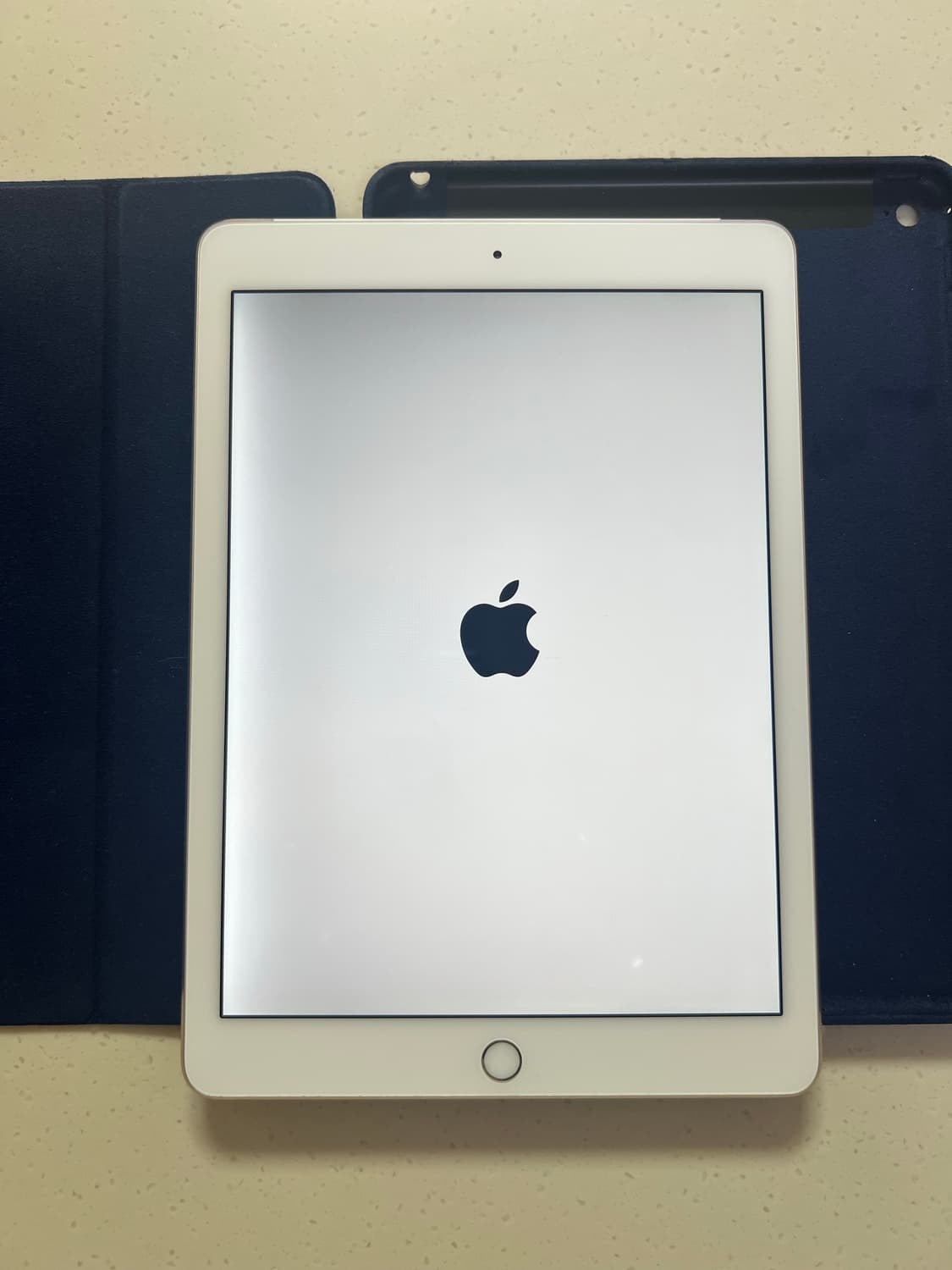 아이패드 에어2 128g 셀룰러 등 다수 일괄 싸게판매 상품이미지5