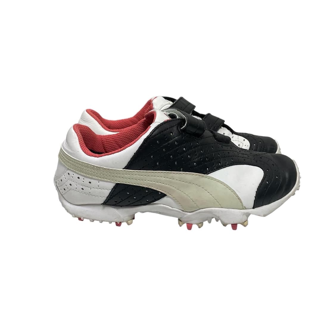 Puma (240) 상품이미지3