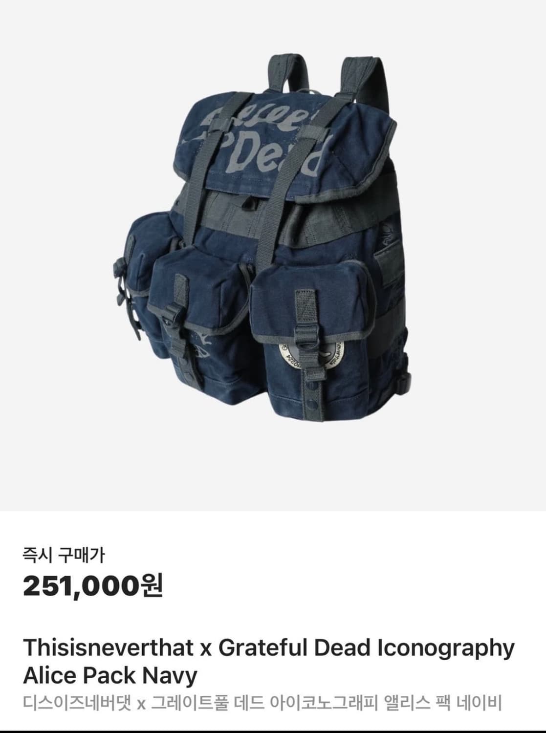 네버댓 그레이트풀데드 백팩 상품이미지4