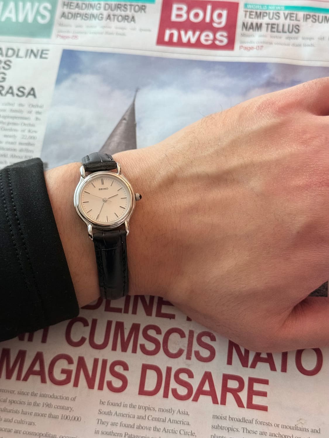 세이코 Seiko 레이디스 라운드 실버 상품이미지4