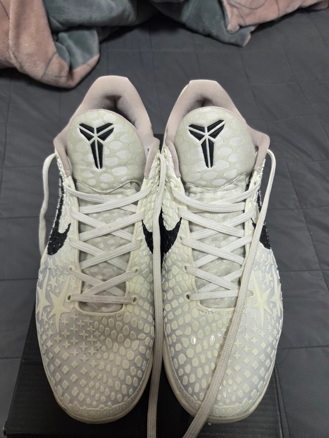 코비 6 세일 285 (자세한 내용은 문의) 상품이미지2