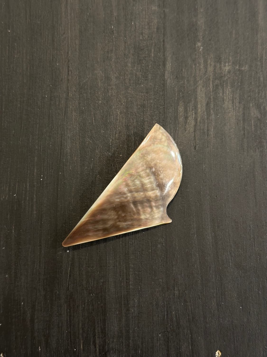Shell Brooch 상품이미지2
