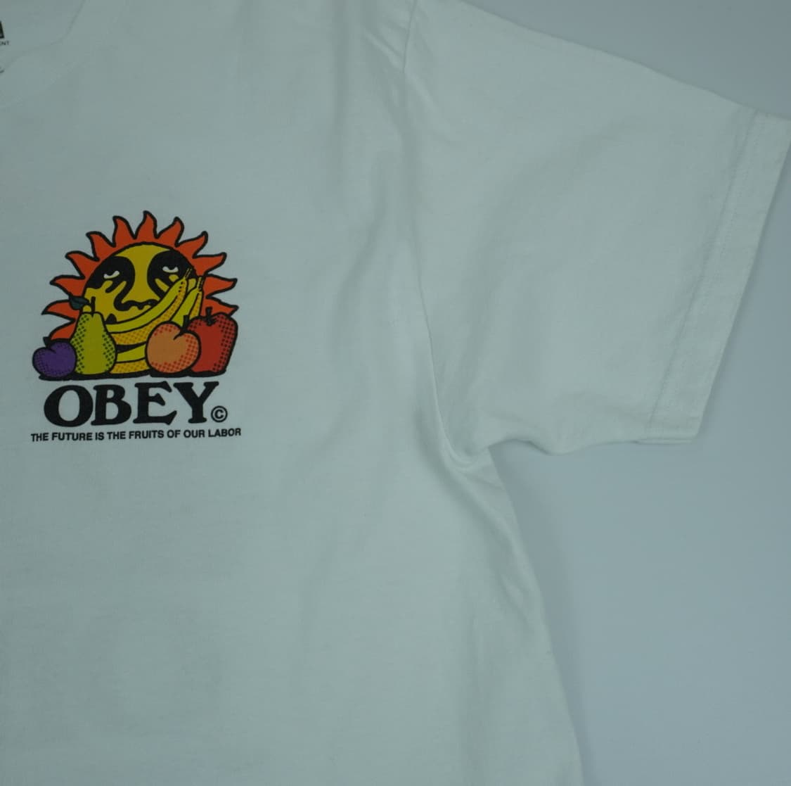 OBEY 오베이 그래픽 반팔 | 상태사진확인 상품이미지3
