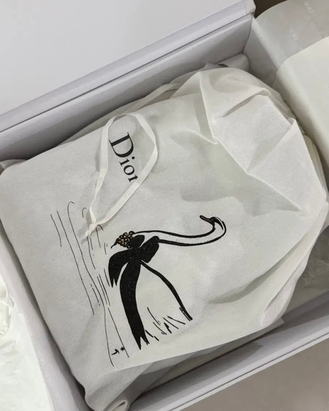 디올 레이디백 레이디디올 스몰 메탈릭실버 상품이미지8