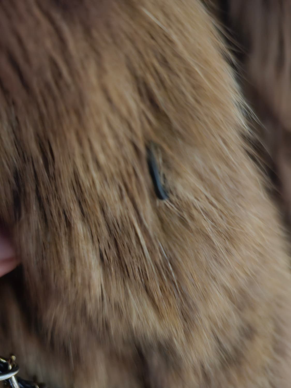 모조에스핀 천연세이블퍼 코트 상품이미지6