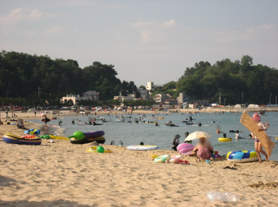 작례 A~S 캐논 익서스 800is /익시800 방탄 디카 디지컬 카메라 상품이미지5