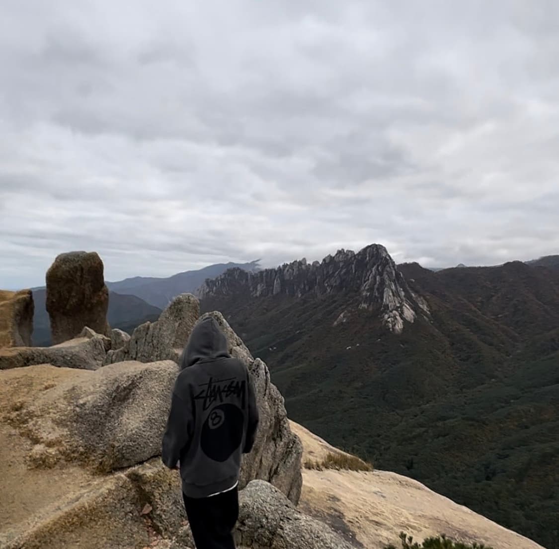 스투시 8볼 피그먼트 다이드 집 후드 블랙 상품이미지5
