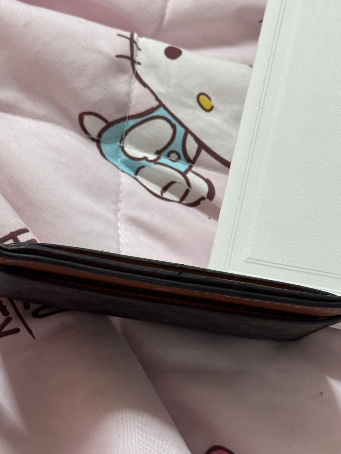 셀린느 카드지갑 정품 풀박 상품이미지9