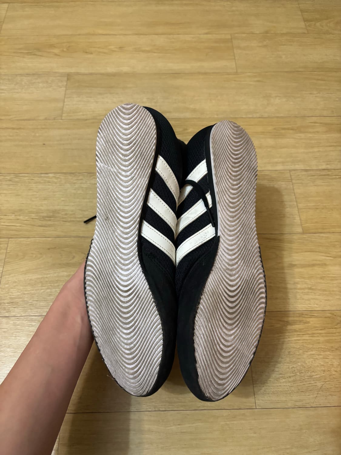 Adidas boxer shoes 상품이미지2
