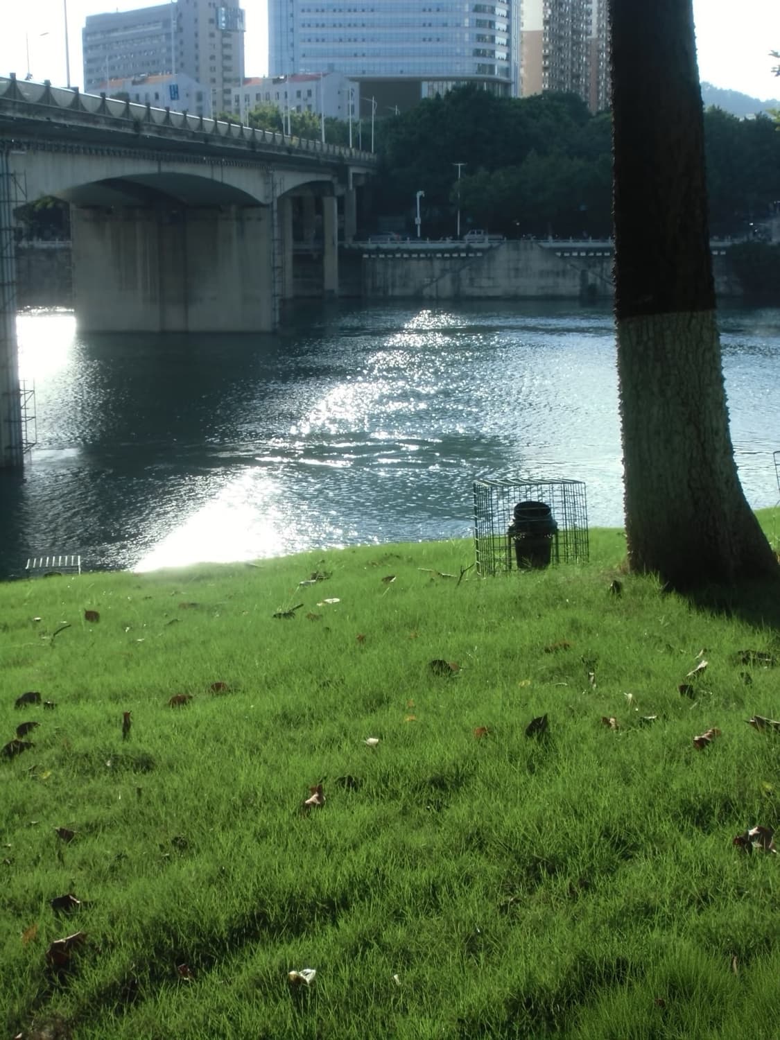 [*풀박!🩷/작례⭕️] 카시오 엑슬림 EX-ZS170 빈티지 디카 상품이미지10