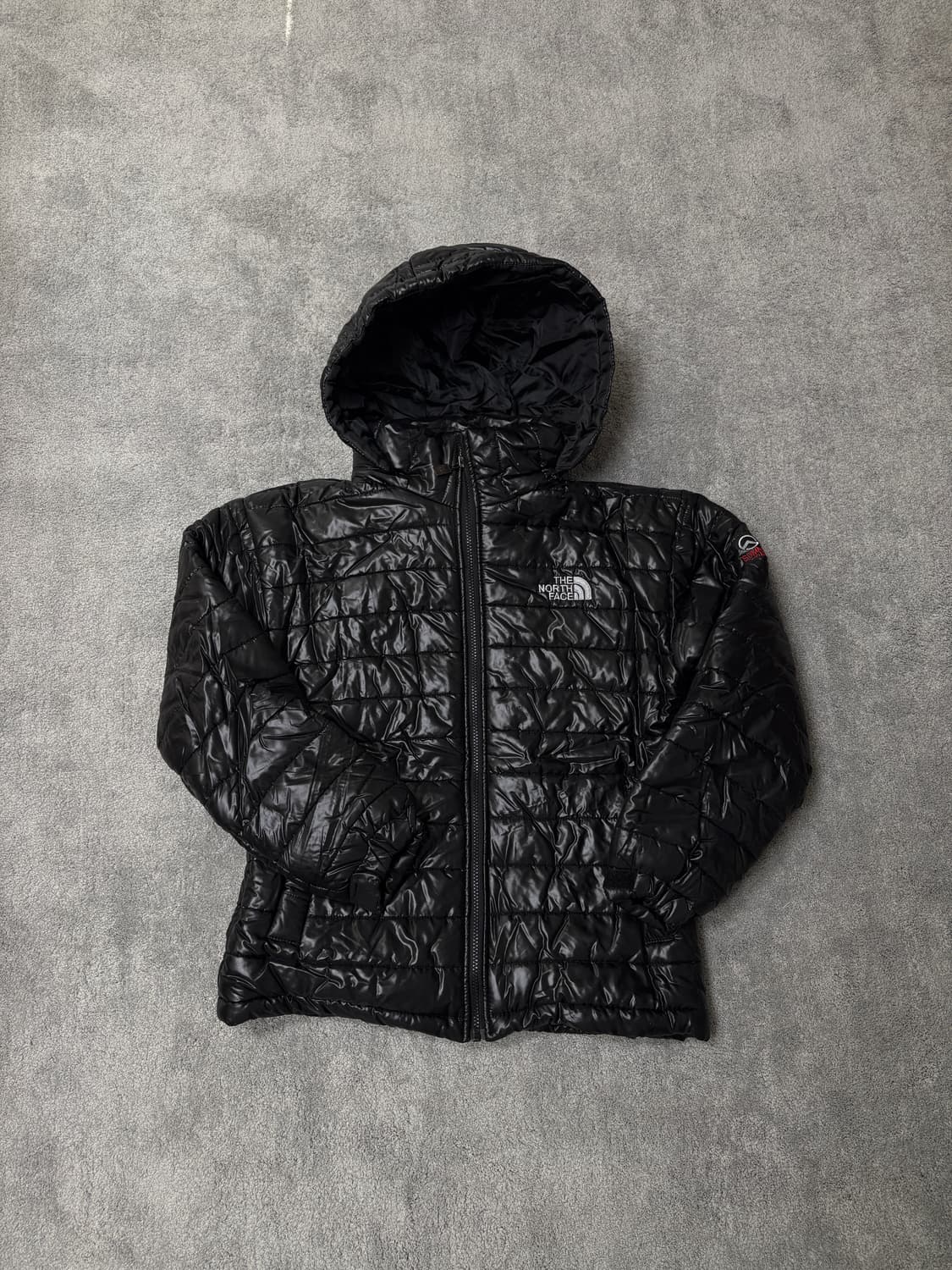 North Face Summit 800 Down Puffer 상품이미지2