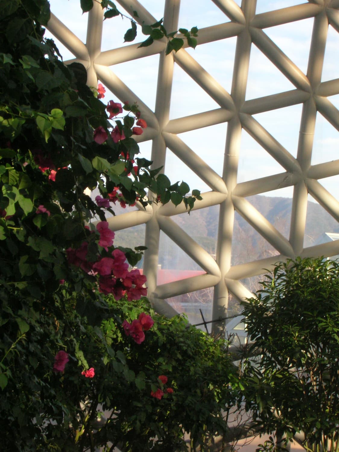 풀박, 작례O) 니콘 쿨픽스 5600 Nikon Coolpix 5600 상품이미지8