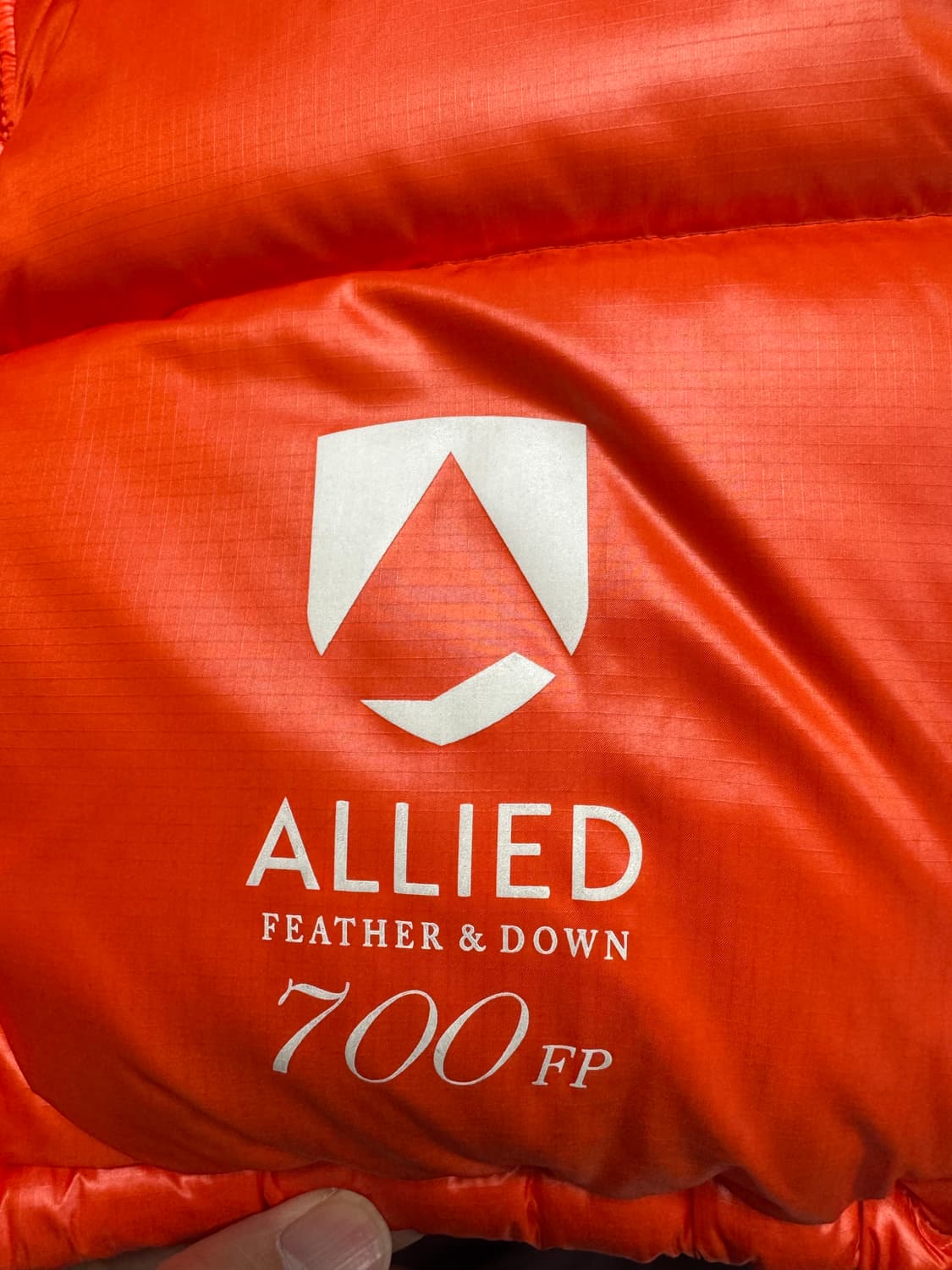 유나이티드 애로우즈 BEAUTY&YOUTH 푸퍼다운 S 상품이미지7