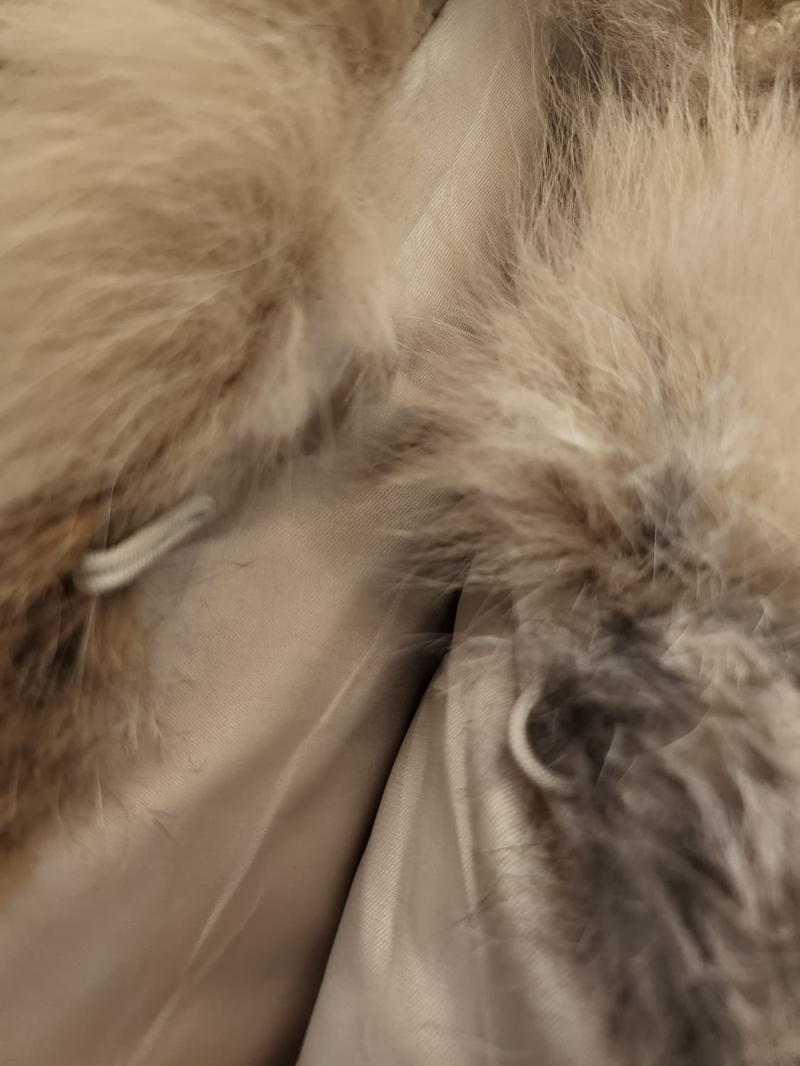 일본빈티지 goa리얼퍼베스트 상품이미지3