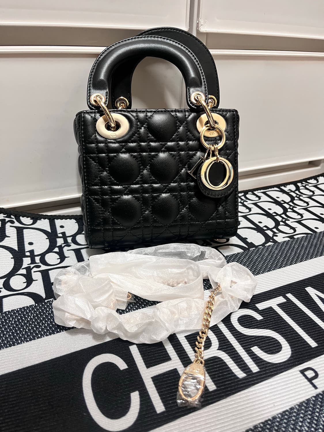 디올 레이디백 미니 사이즈 금장  상품이미지2