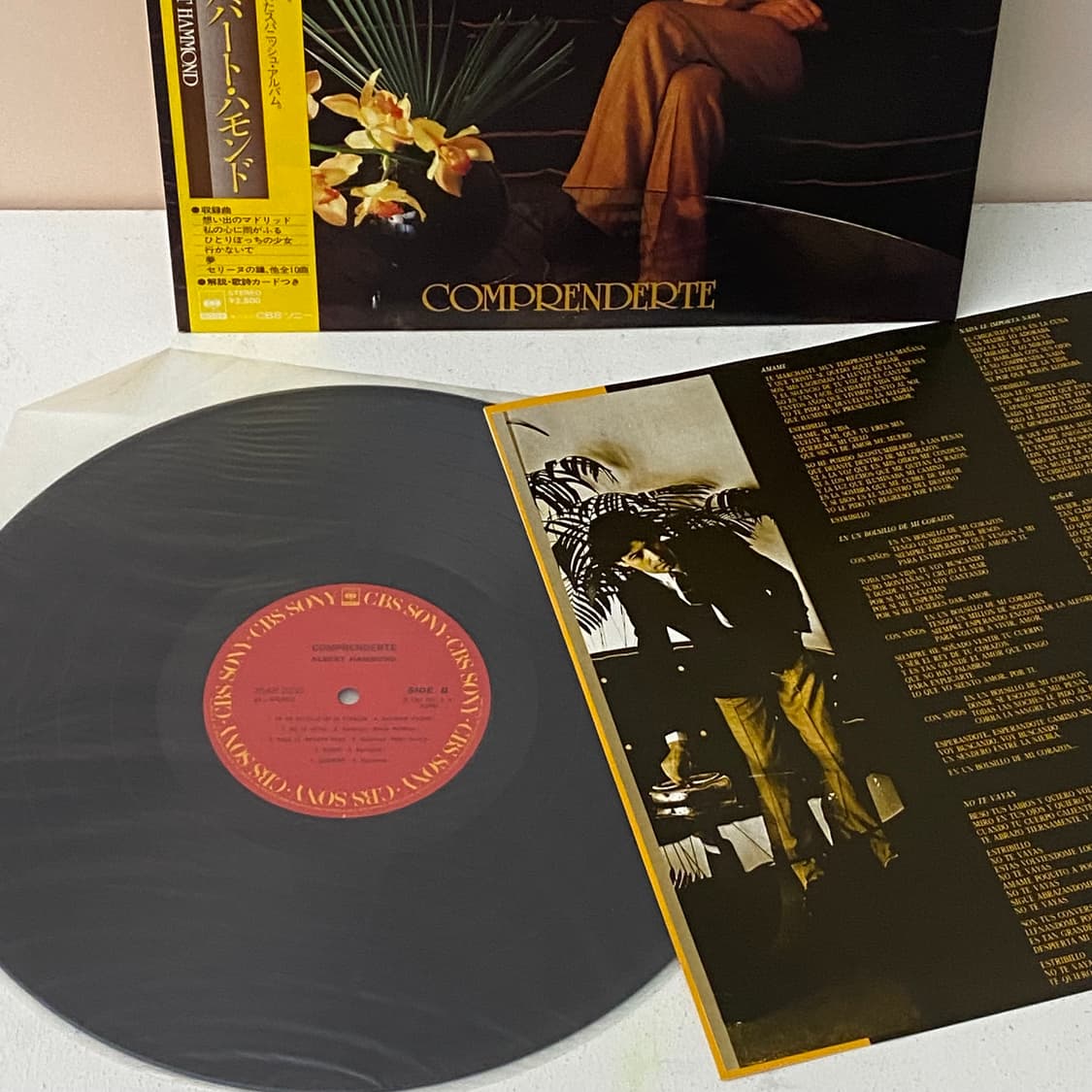 (LP) Albert Hammond - Comprenderte 상품이미지3