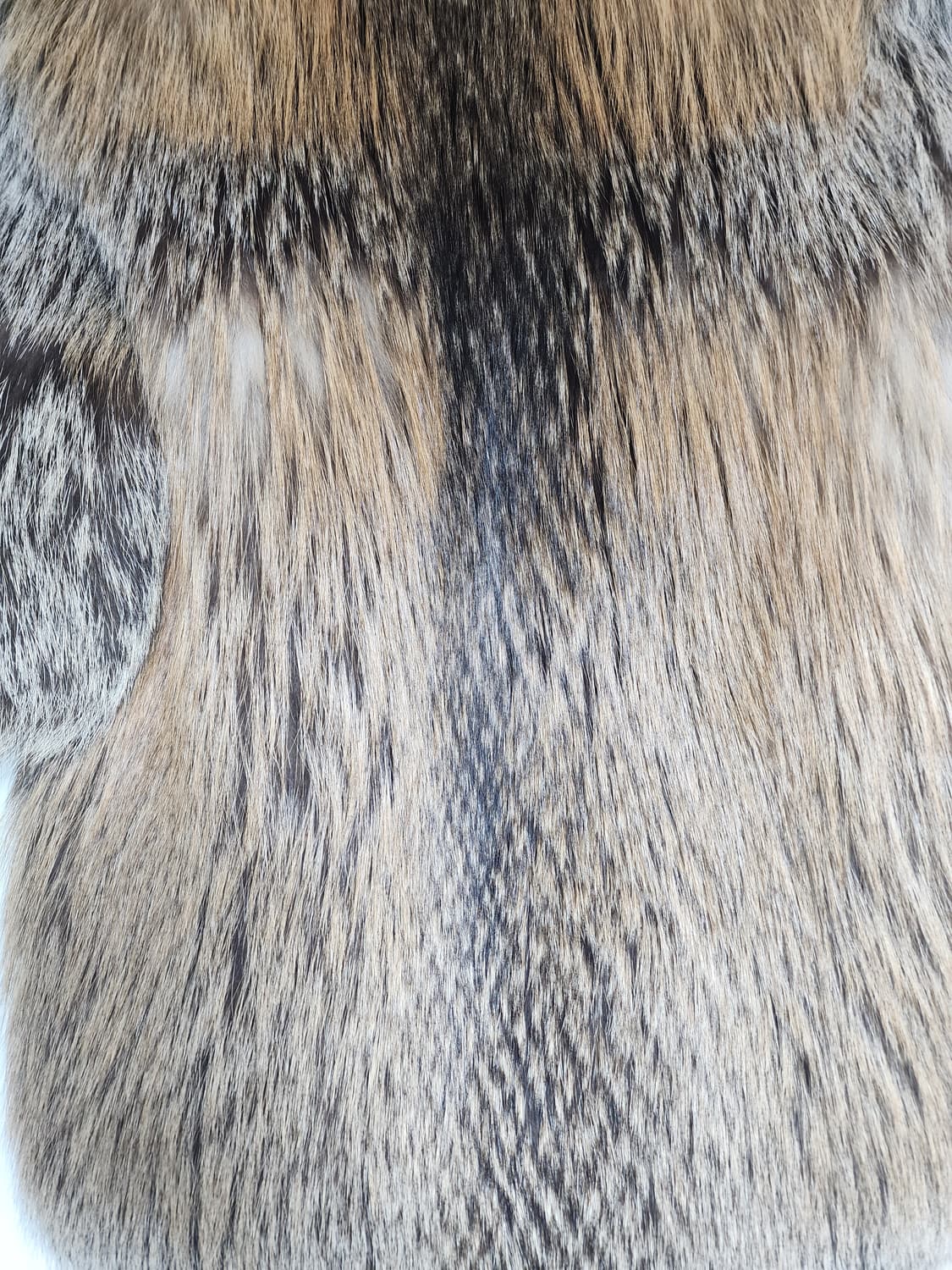 폭스 리얼퍼 자켓 상품이미지5