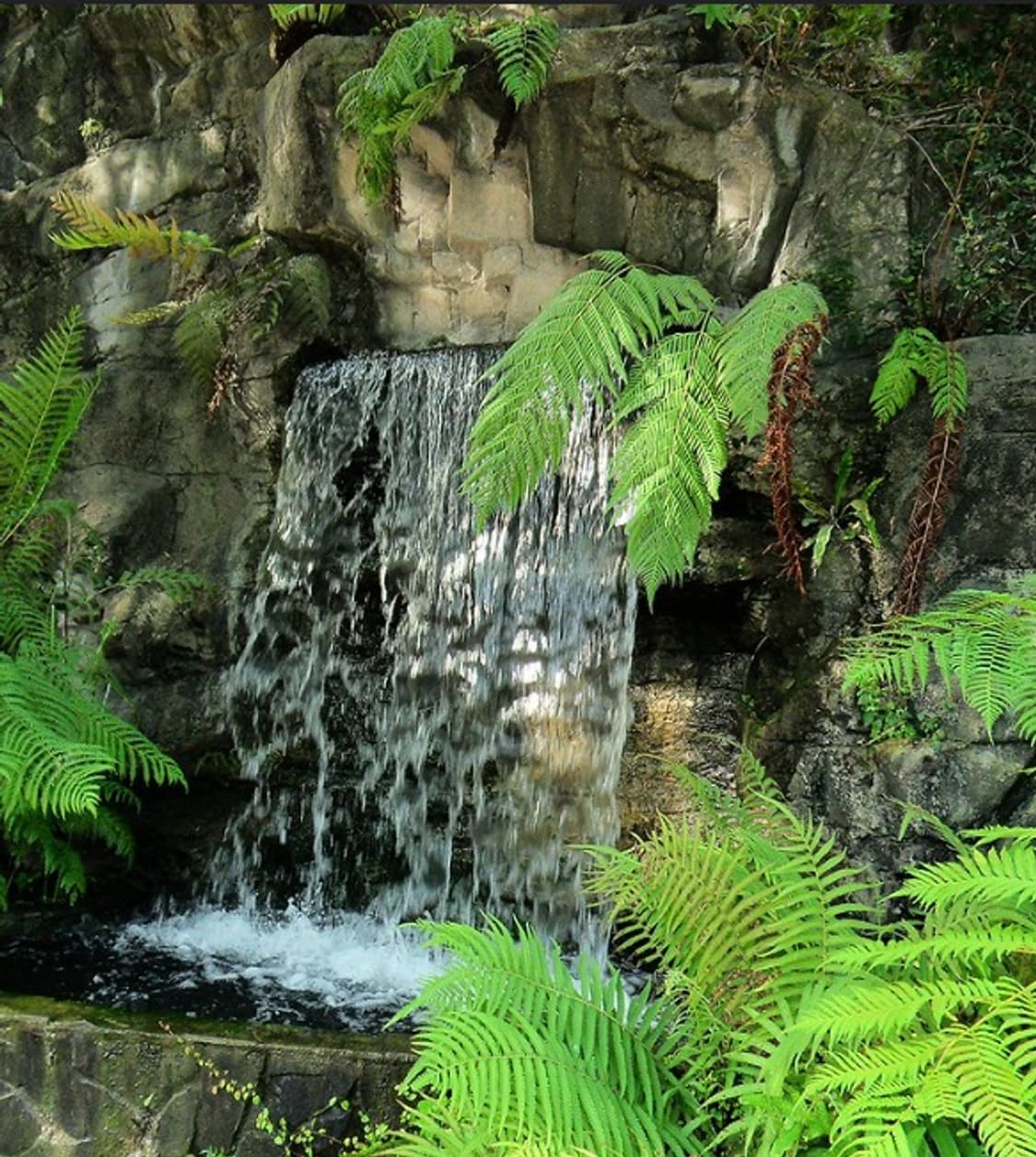 📸 삼성 WB550 🔥 줌 괴물 감성 디카 상품이미지10