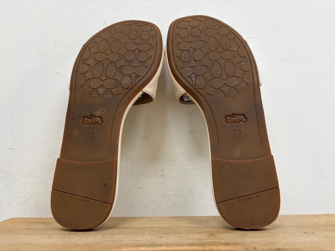 코치 에비 슬리퍼 245 상품이미지6