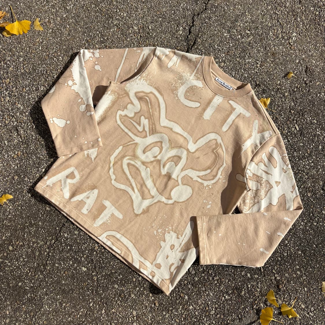 아크네 스튜디오 City Rat 패턴 스웻셔츠 상품이미지3