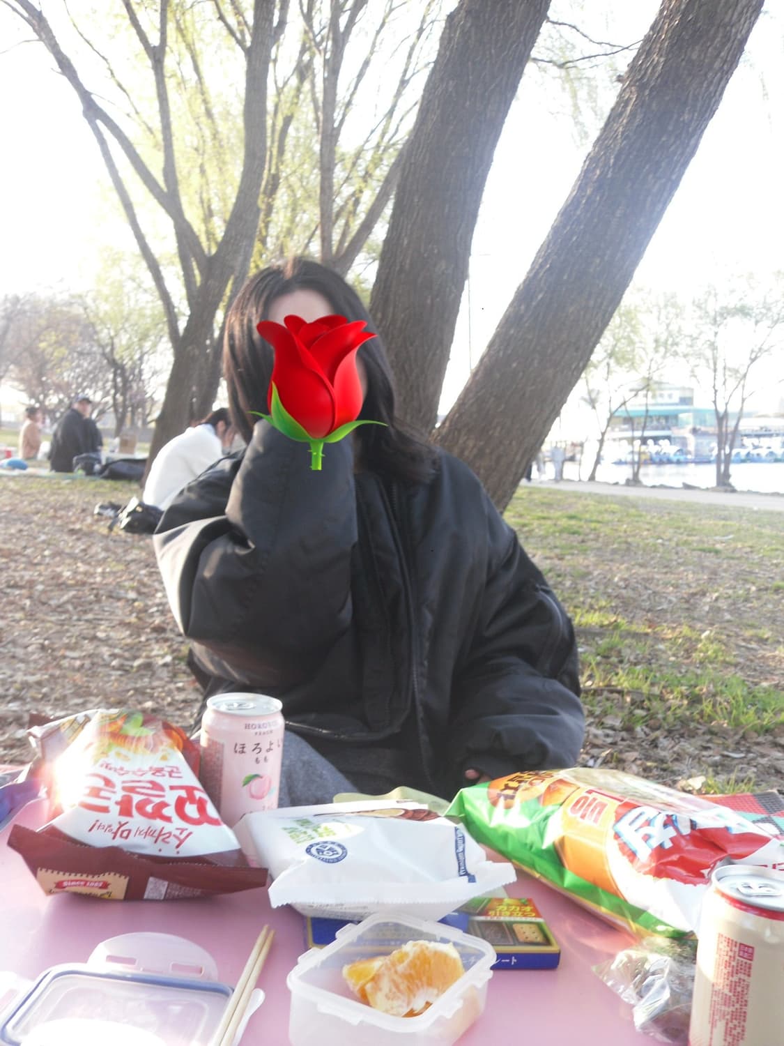 삼성 vllu pl55 디카 (실제 작례 O) 카시오맛 디카 상품이미지1