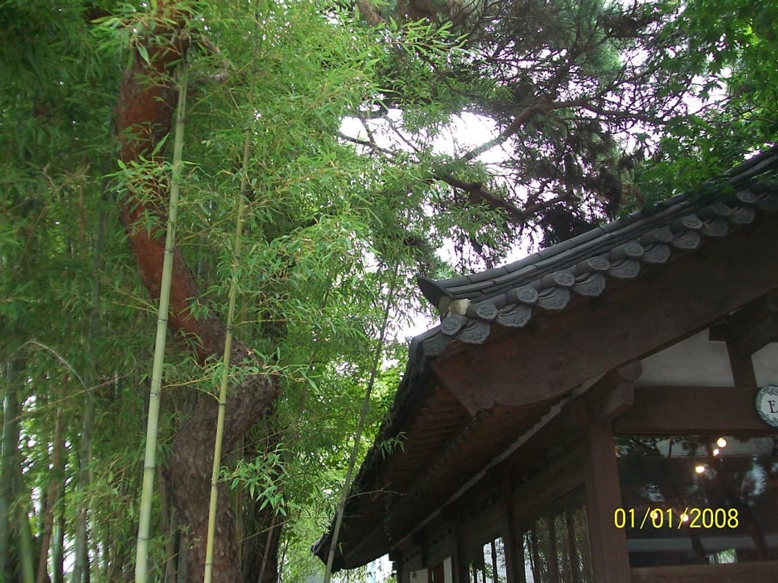 코닥 이지쉐어 C180 블루 Kodak Easyshare C180 상품이미지8