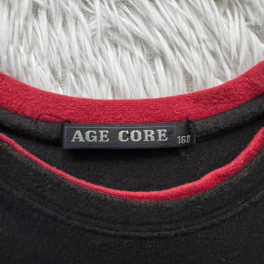 AGE CORE 일본빈티지 오리엔탈 반팔 y2k 반팔티 크롭티 빈티지반팔 상품이미지4