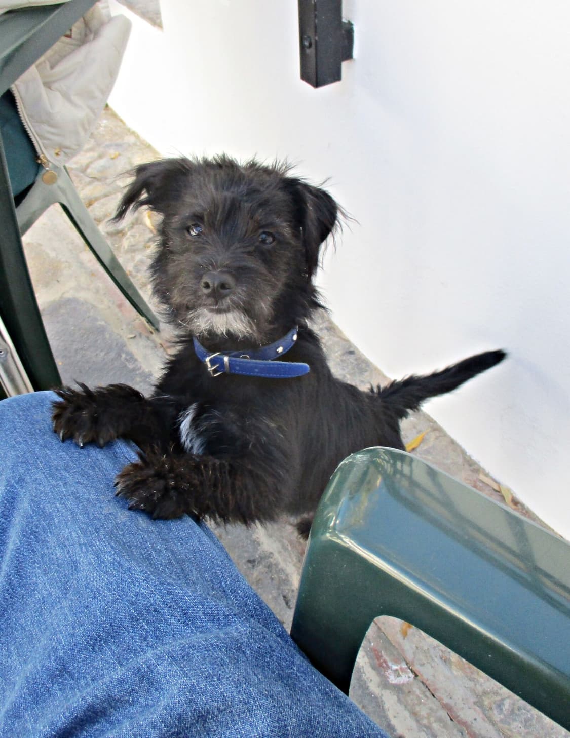 캐논 canon ixy 160 빈티지 디카 (MINT) 상품이미지7