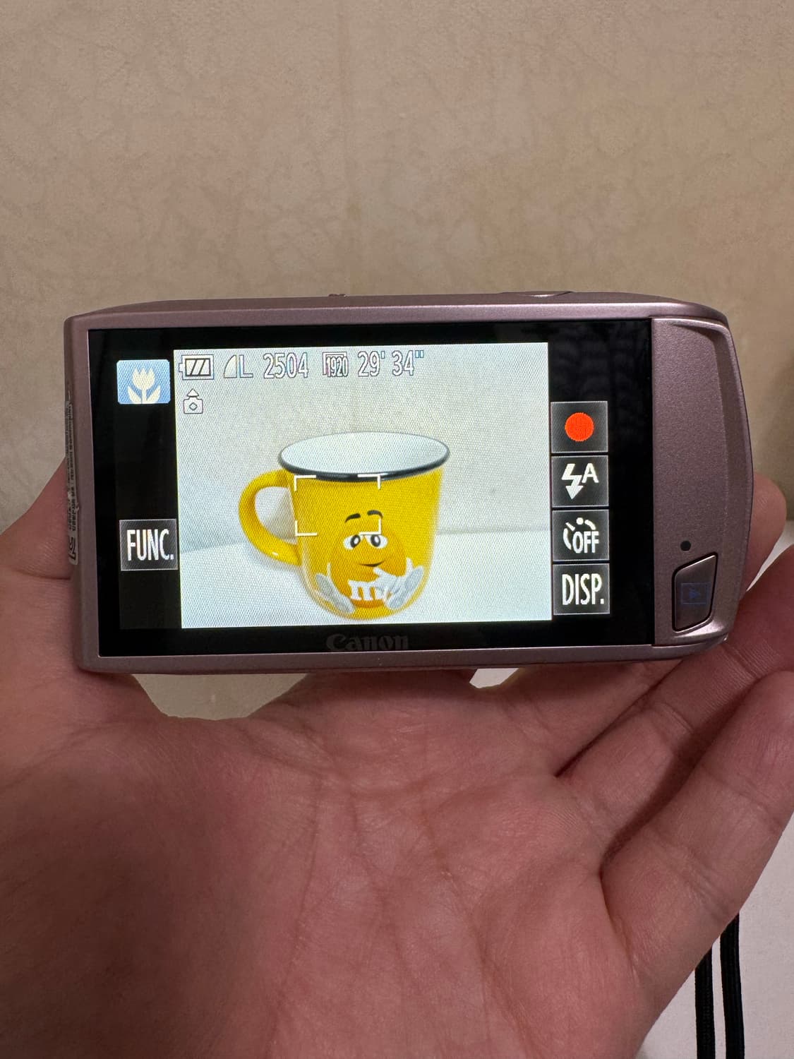 [새상품급, 풀박스]캐논 익서스 ixus 310 HS 디카 상품이미지3