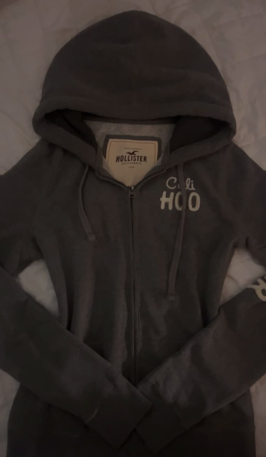 홀리스터 후드집업 상품이미지1