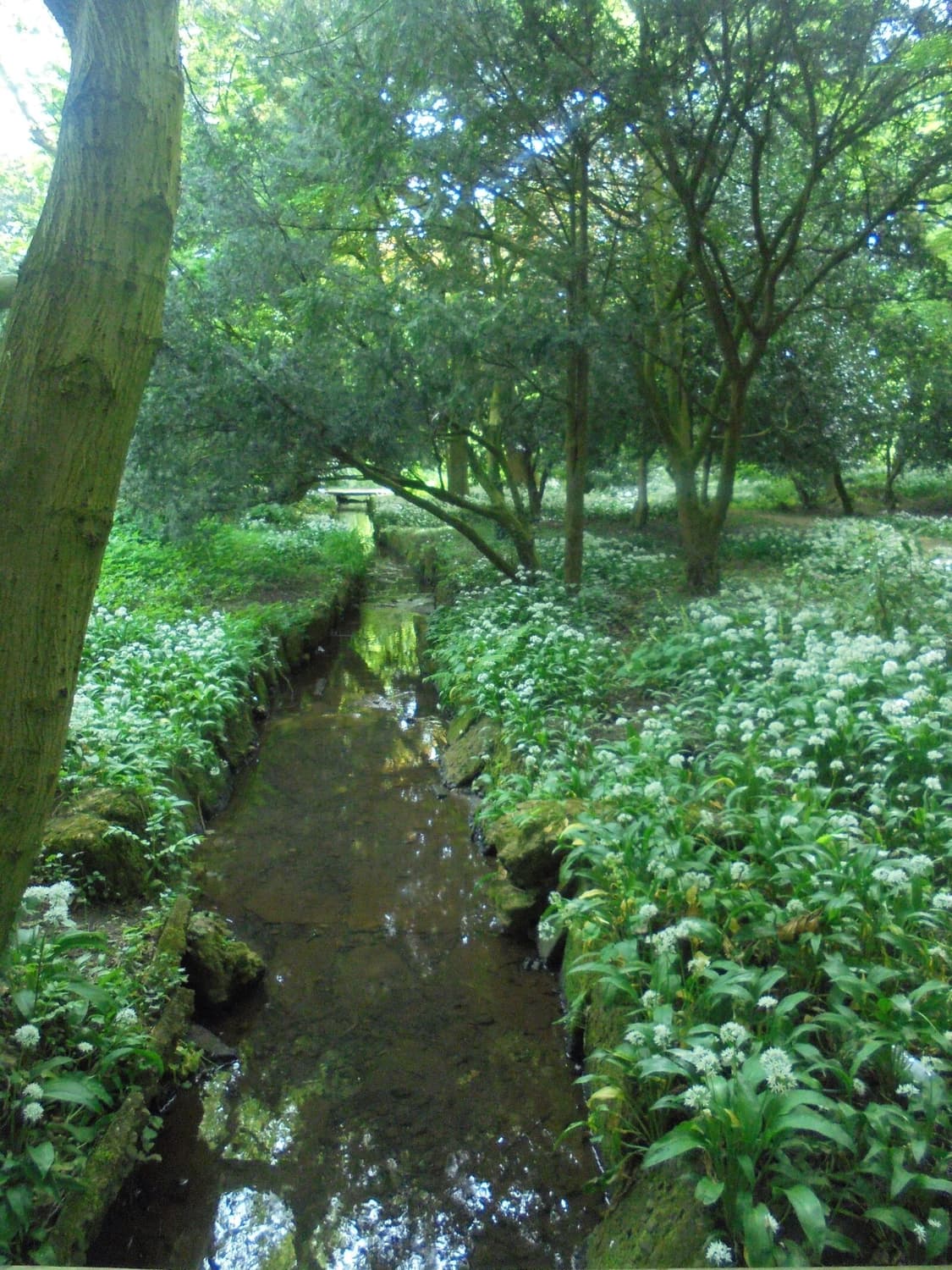 아이브픽, 작례🪽소니 사이버샷 DSC-W810 빈티지 디카 상품이미지7