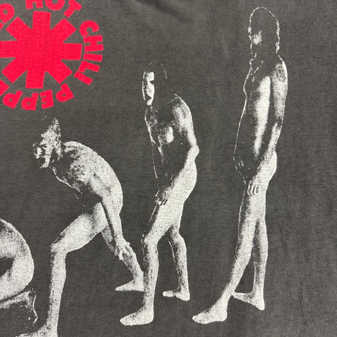 빈티지 90s 레드핫칠리페퍼스 티셔츠 RHCP Evolution Tee 상품이미지6