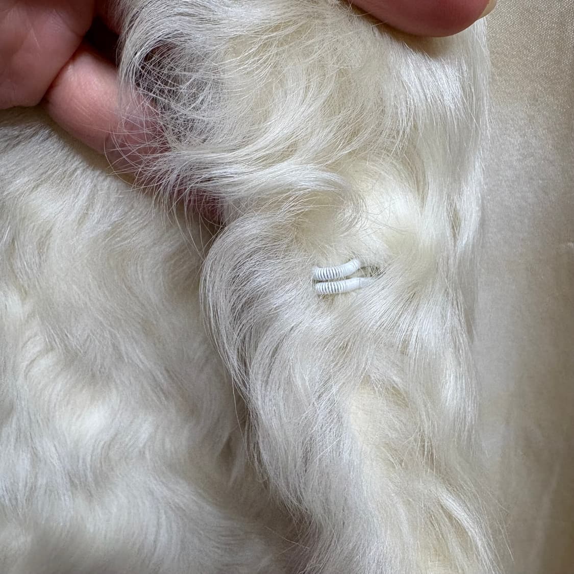 리얼 램퍼 코트 양털 코트 자켓  상품이미지7