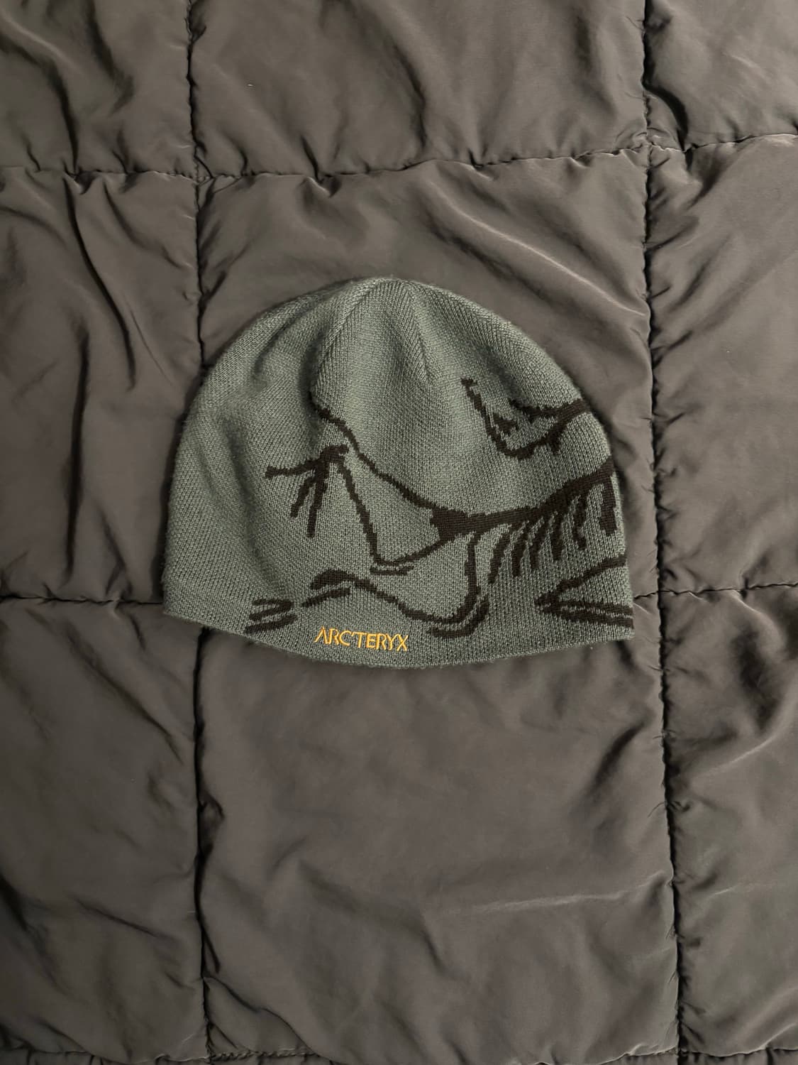 아크테릭스 버드 헤드 토크 다크 매직 비니 상품이미지1