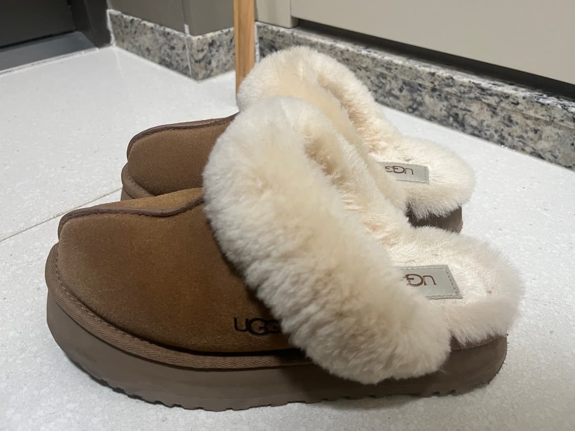 미국 어그 디스케트 체스트넛 240 상품이미지1