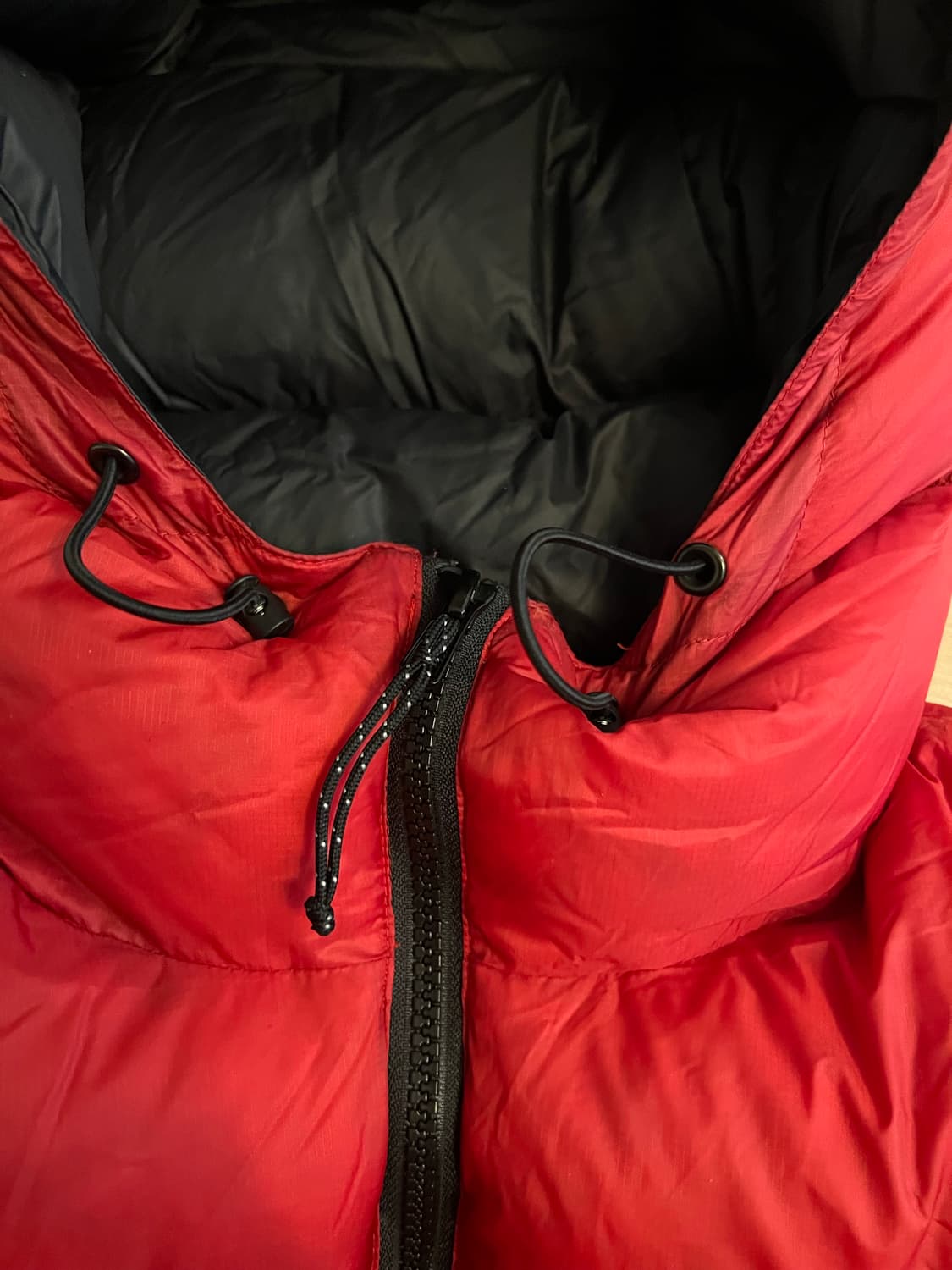 페더드프렌즈 헬리오스 상품이미지4