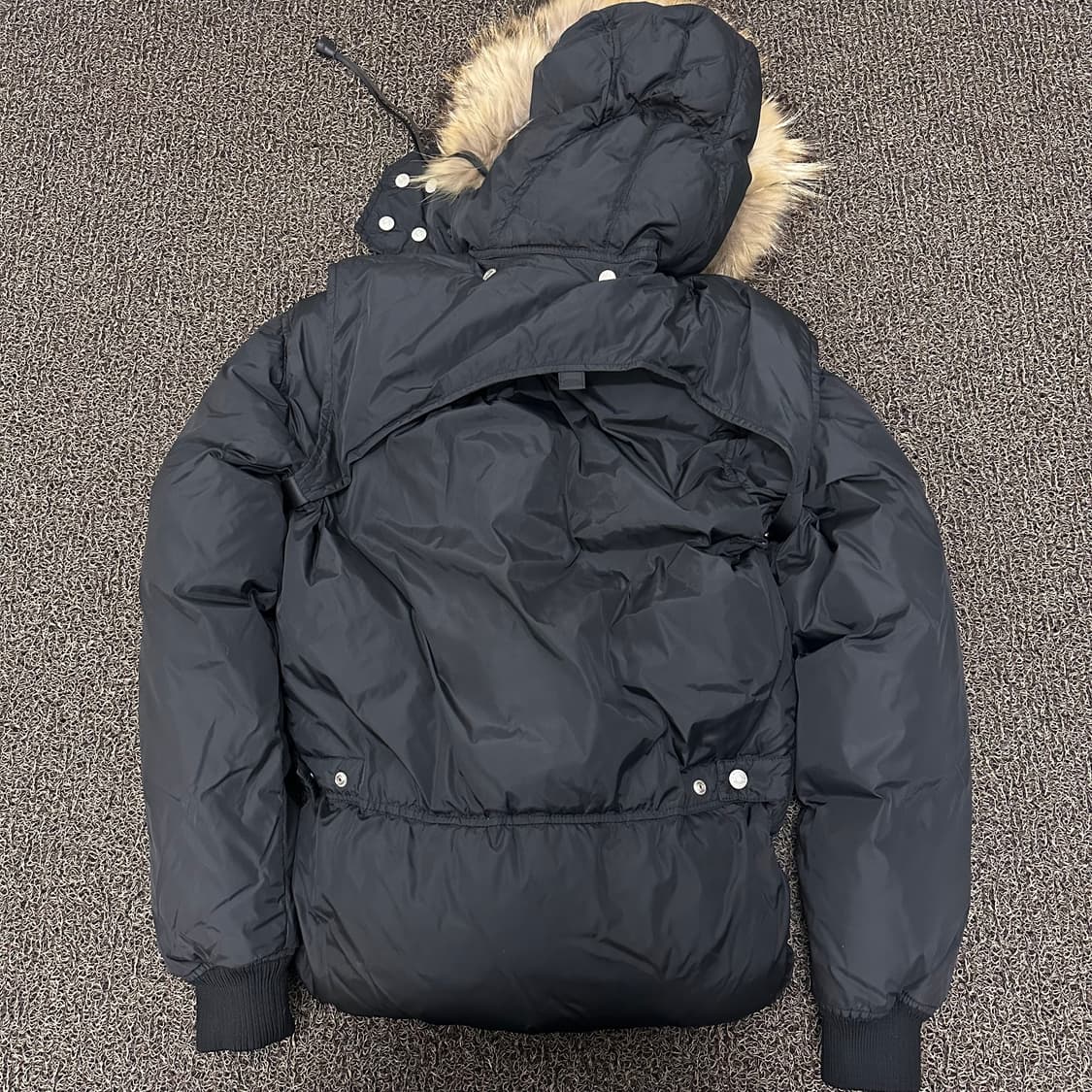 디스퀘어드2 라쿤털 여성 크롭 숏패딩 블랙 M 상품이미지4