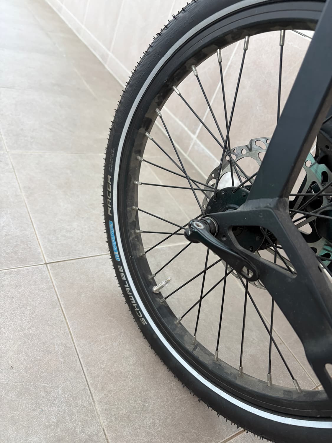 버디 GT 레드 판매 상품이미지5