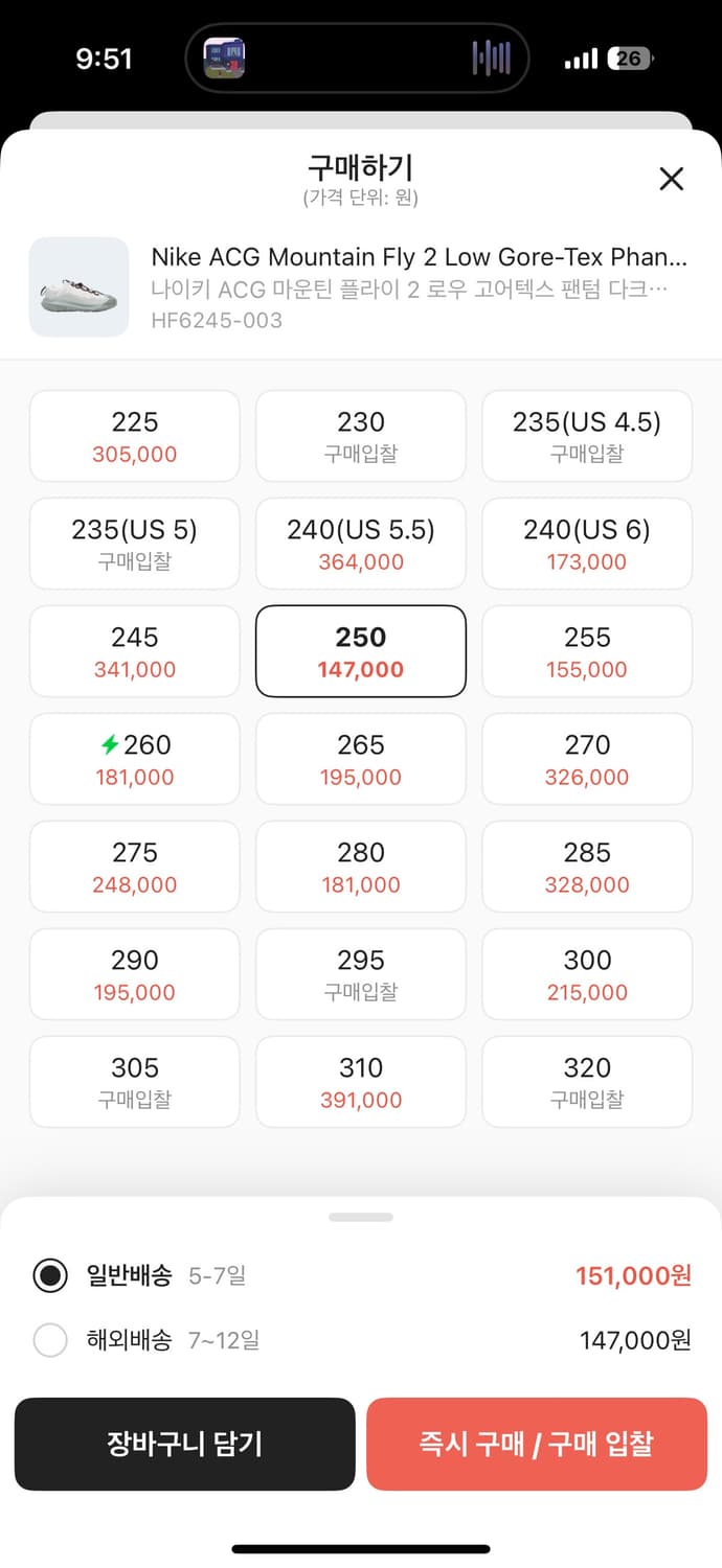 나이키 ACG 마운틴 플라이 2 스모크 그레이  상품이미지7