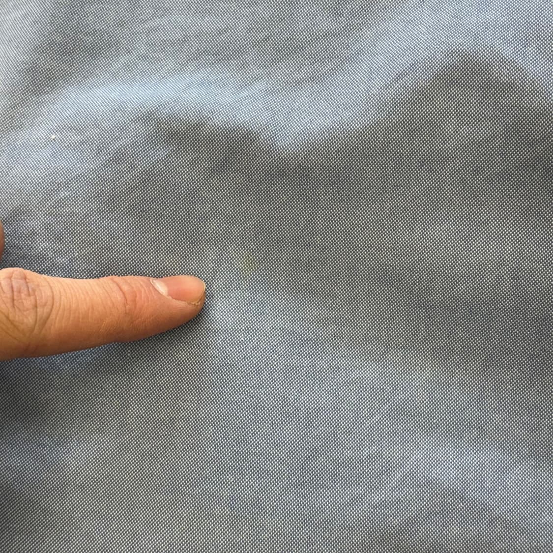 2 버버리 블랙라벨 카라티셔츠 상품이미지7